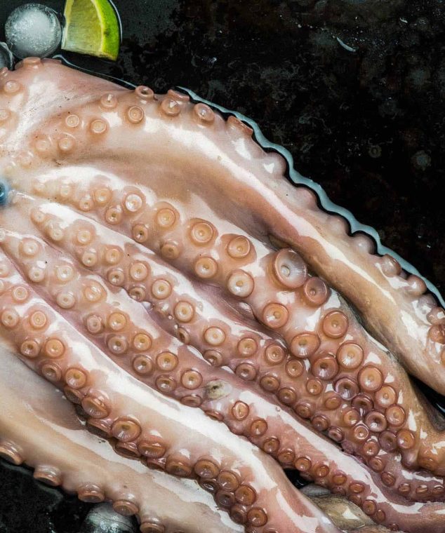 whole-seafood-octopus-with-ice-and-lime-2022-02-01-23-41-26-utc.jpg
